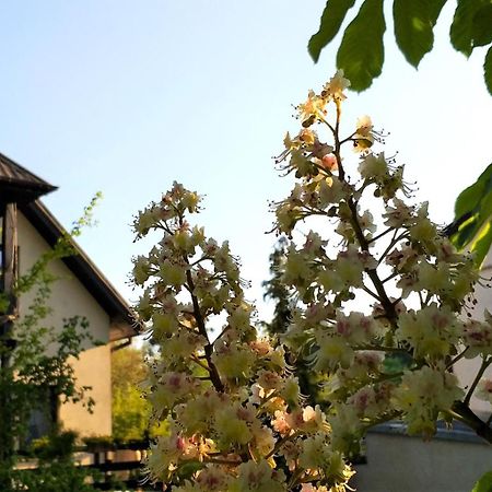 Ferienwohnung Dom Pod Kasztanami Kazimierz Dolny Exterior foto