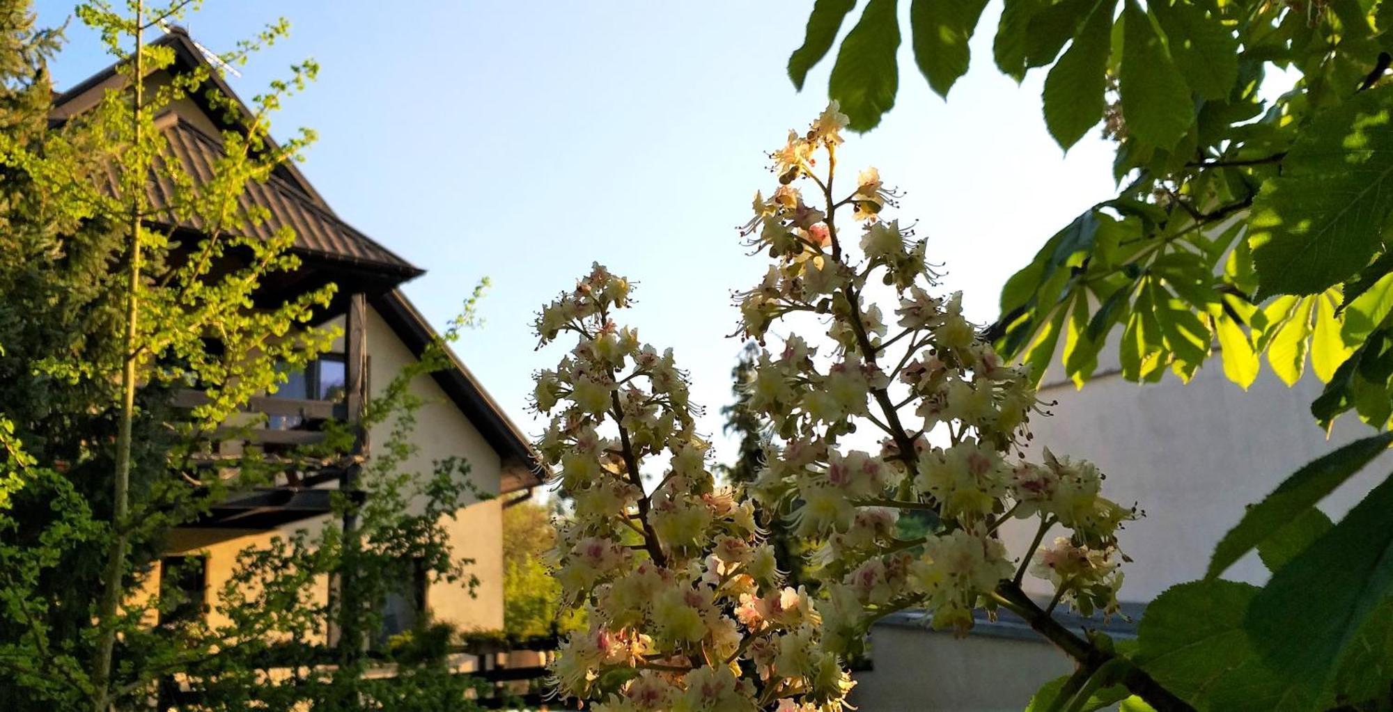 Ferienwohnung Dom Pod Kasztanami Kazimierz Dolny Exterior foto