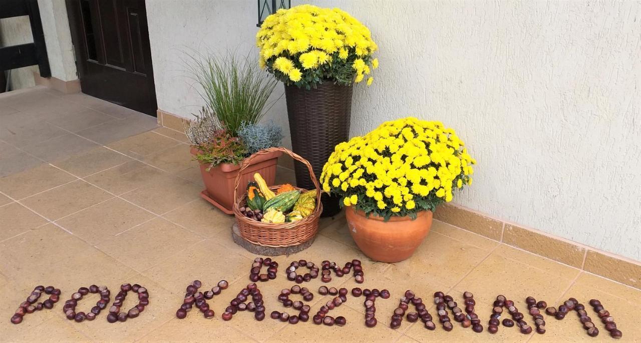 Ferienwohnung Dom Pod Kasztanami Kazimierz Dolny Exterior foto